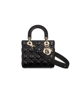 Small Lady Dior My ABCDior Bag