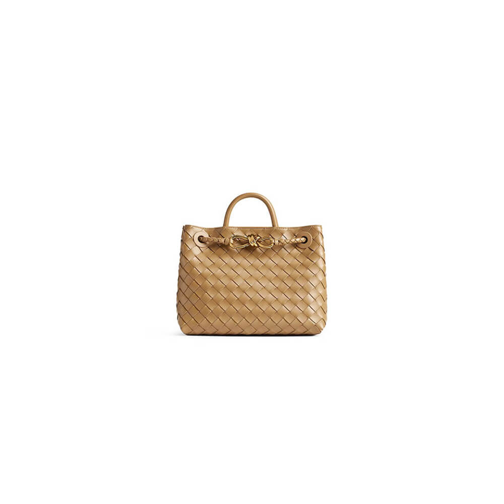 Bottega Veneta Small Andiamo