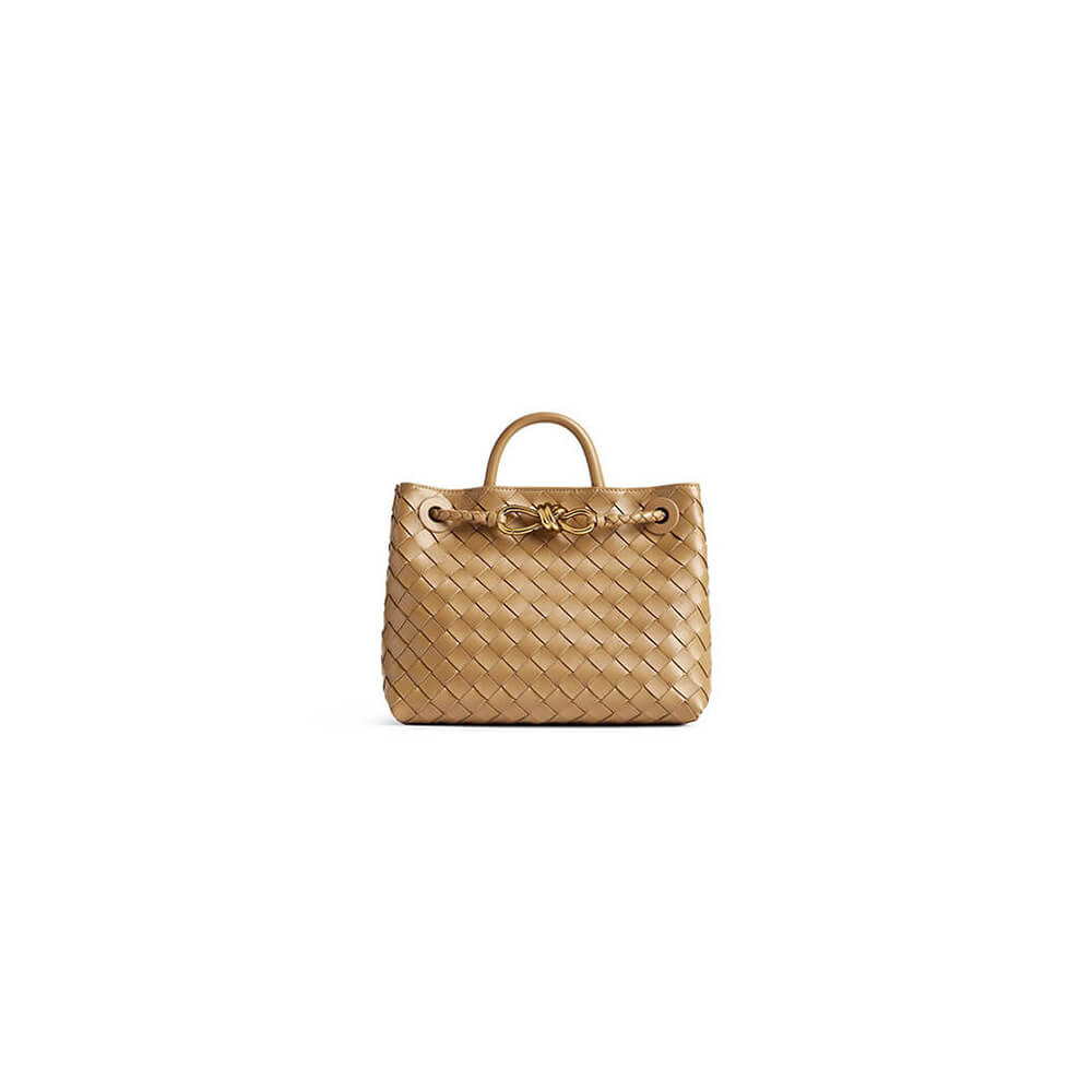 Dark Praline Bottega Veneta Small Andiamo