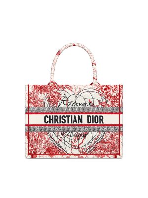 SMALL DIOR BOOK TOTE