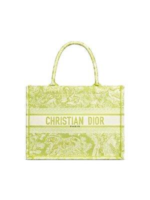 SMALL DIOR BOOK TOTE