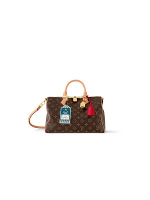 LV Speedy Soft 30 Crafty