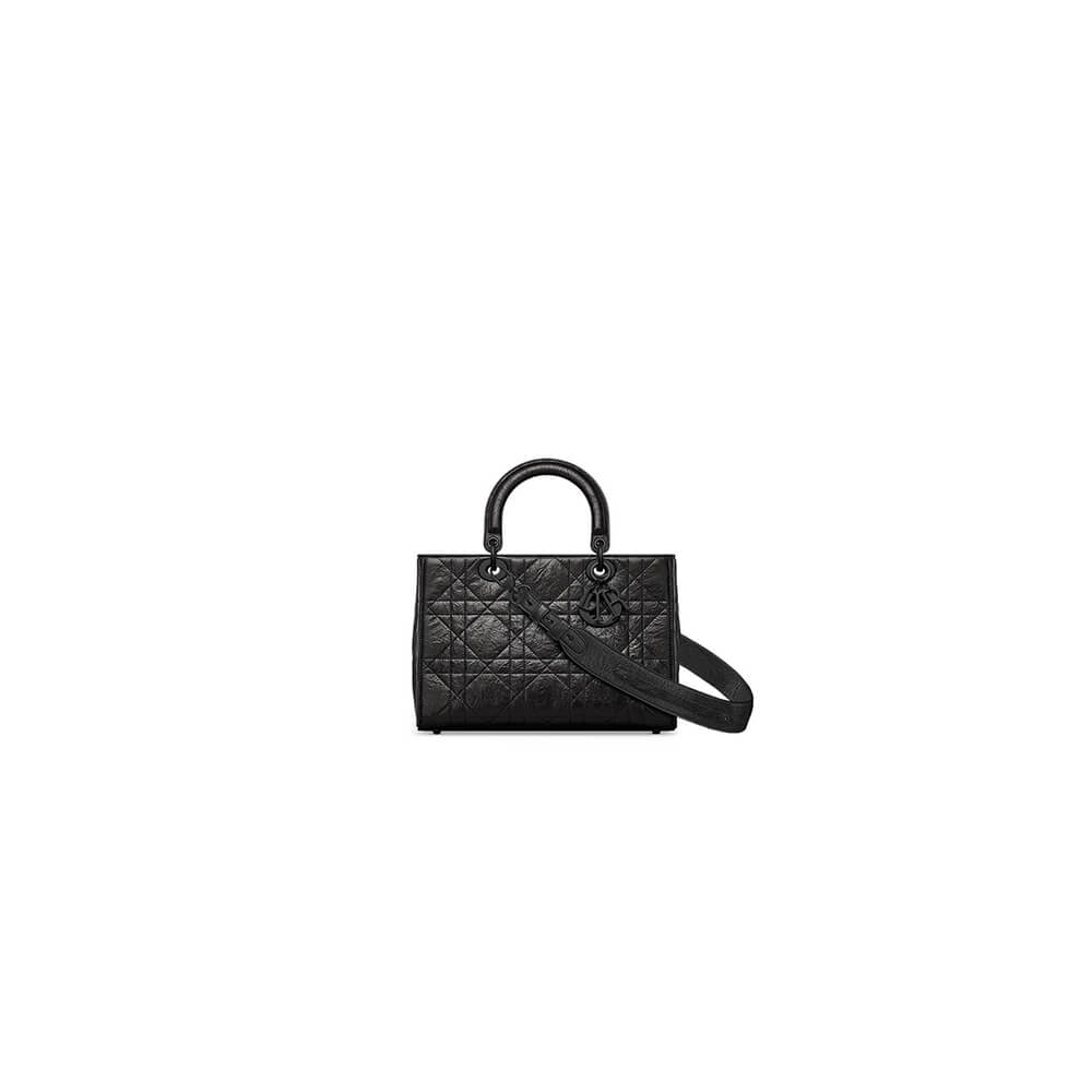 Dior Medium Lady D-Sire My ABCDior Bag