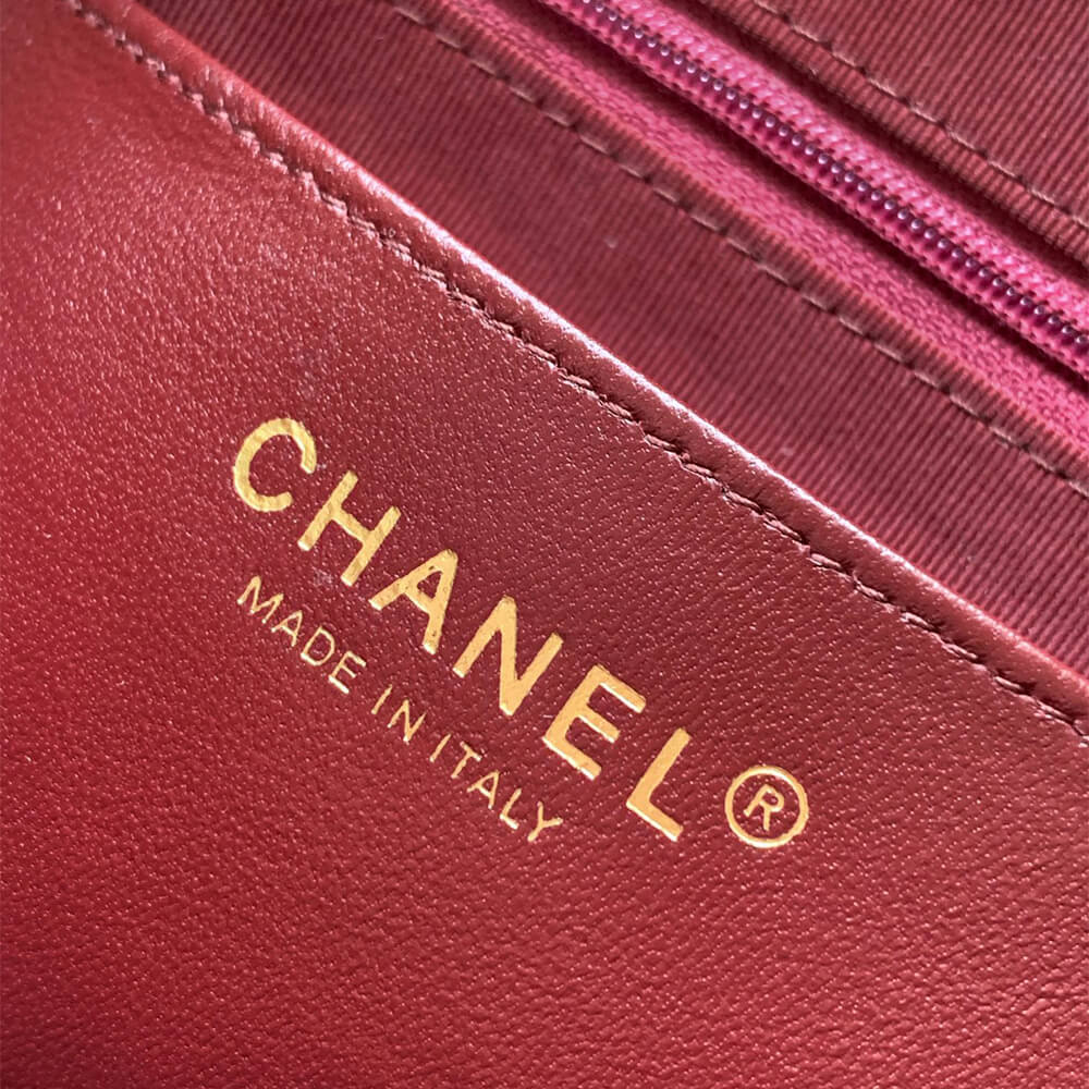 CHANEL large Camera Case - Image 7