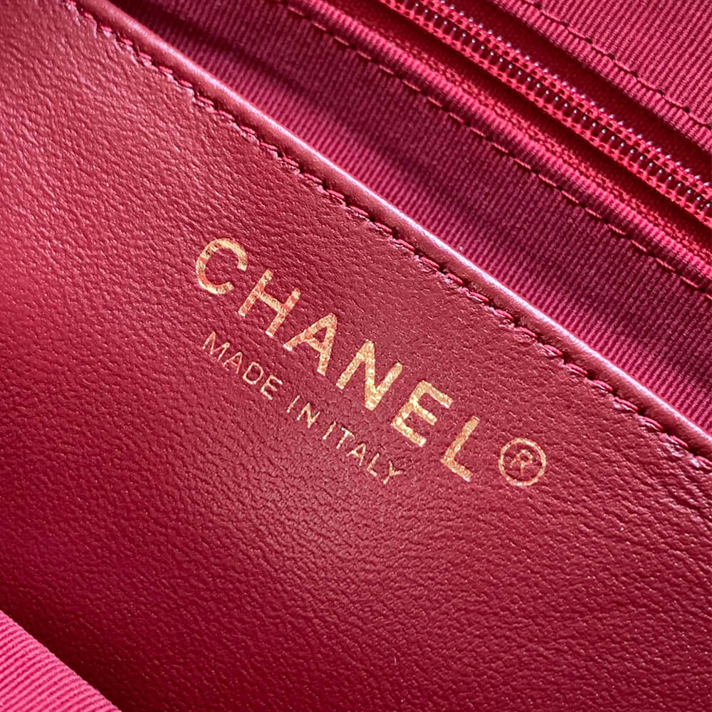 CHANEL large Camera Case - Image 7