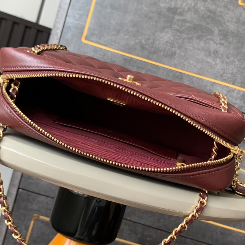 CHANEL large Camera Case - Image 8